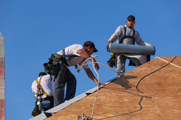 Best Metal Roofing Contractor  in Seven Points, TX